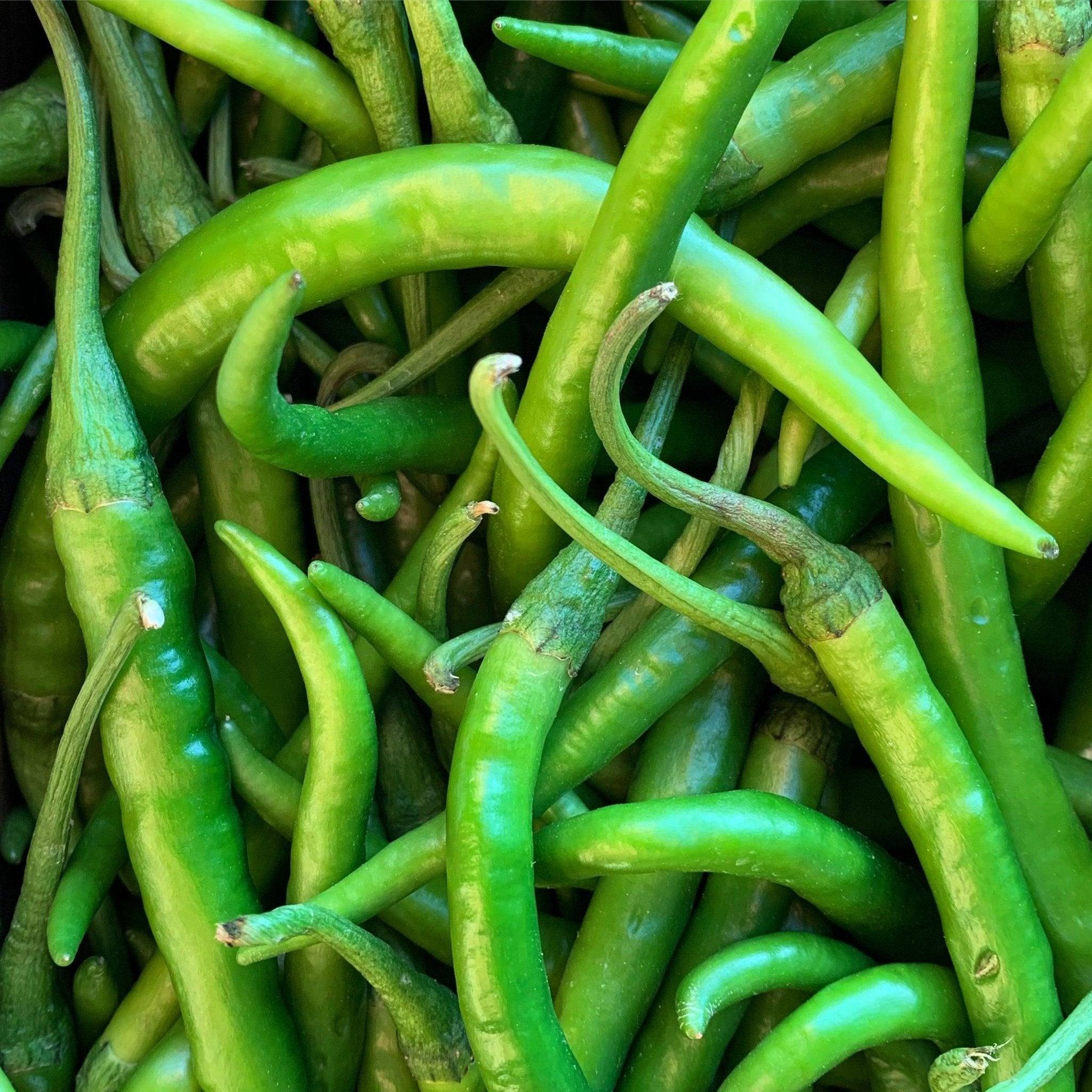 Fresh Green Finger Chillies 1kg Chilli Mash Company Fresh Green Finger Chillies 1kg Chilli Mash Company