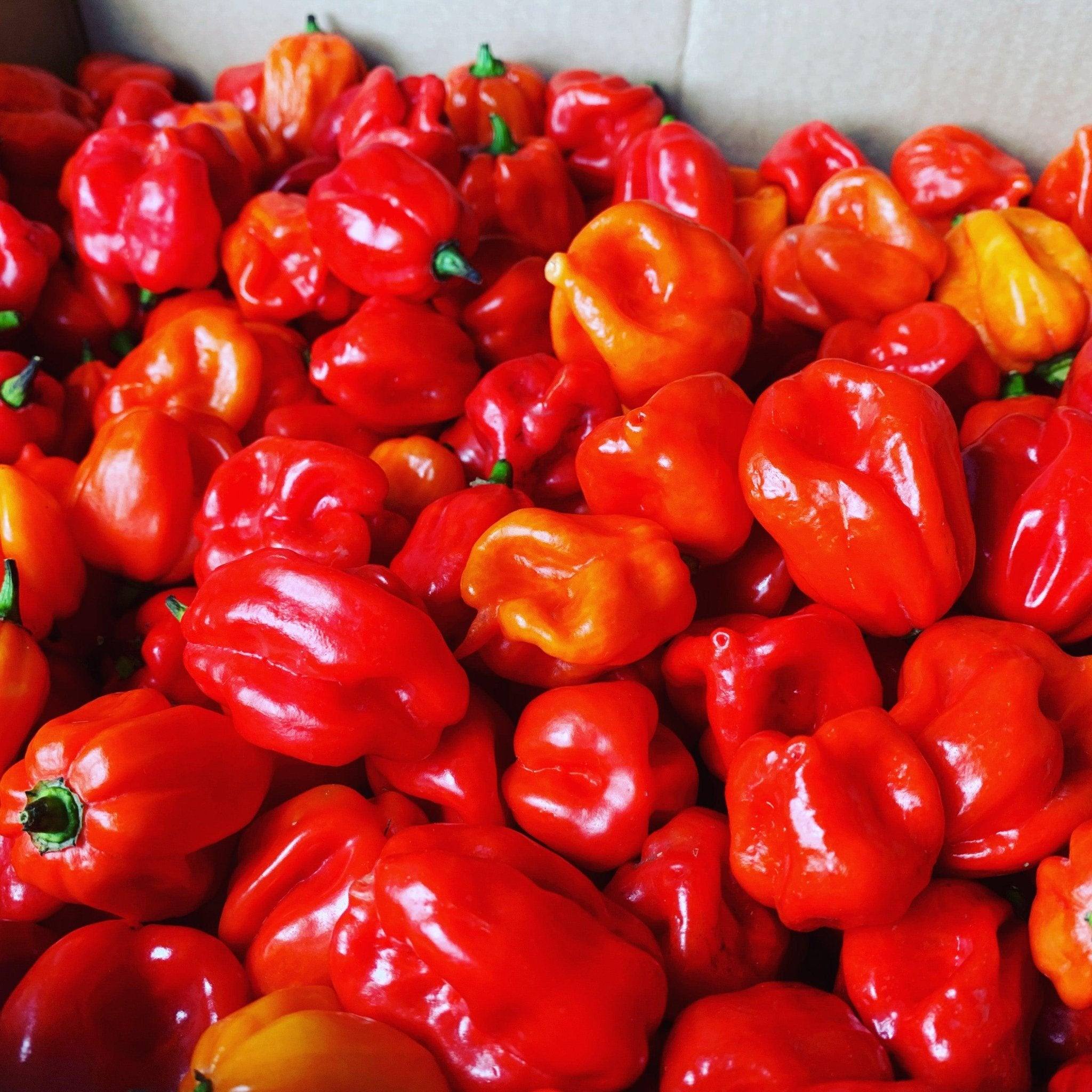 Fresh Chillies | A Wide Selection Of Varieties | Available All Year Round - One Stop Chilli Shop