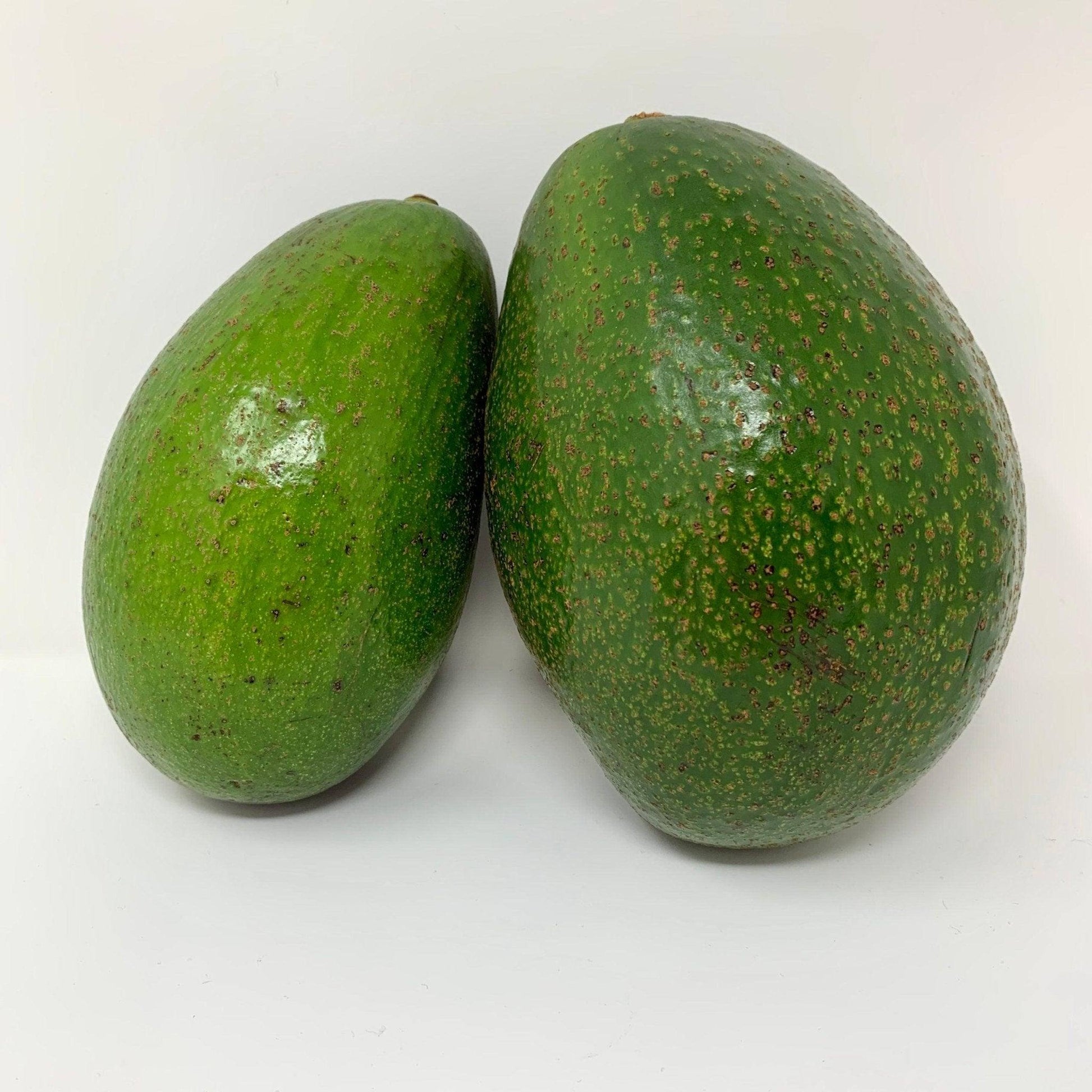 Fresh Avocado | Produce Of Rwanda | Chilli Mash Company | Persea Americana Avocado Fresh - One Stop Chilli Shop