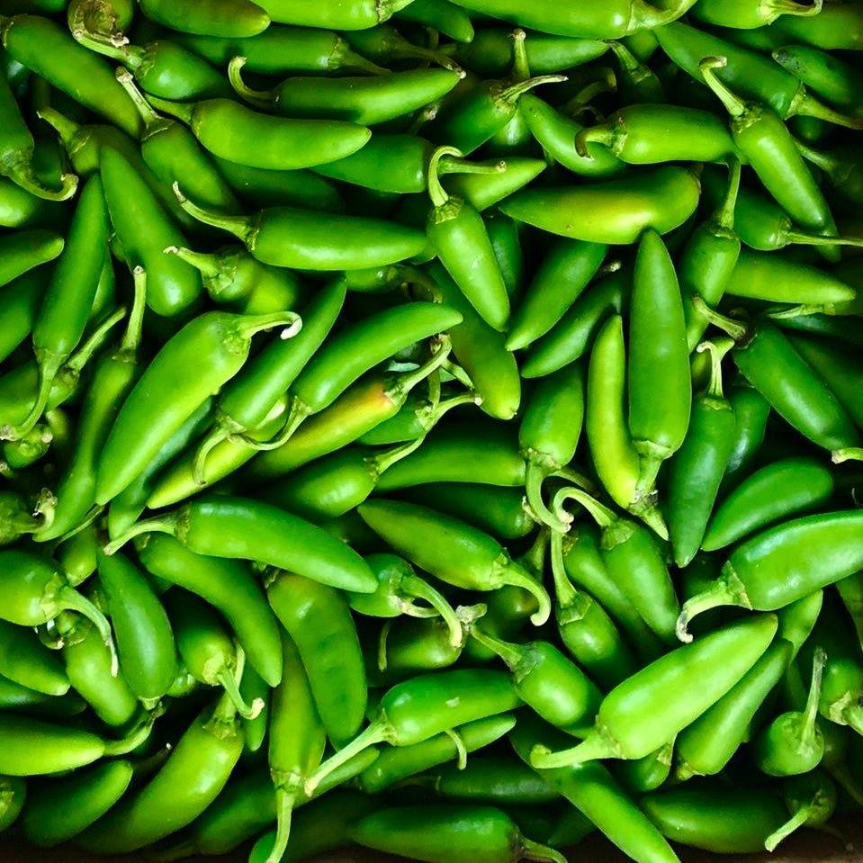 Fresh Green Jalapeno Chilli | 250g - 500g - 1kg | Chilli Mash Company - One Stop Chilli Shop