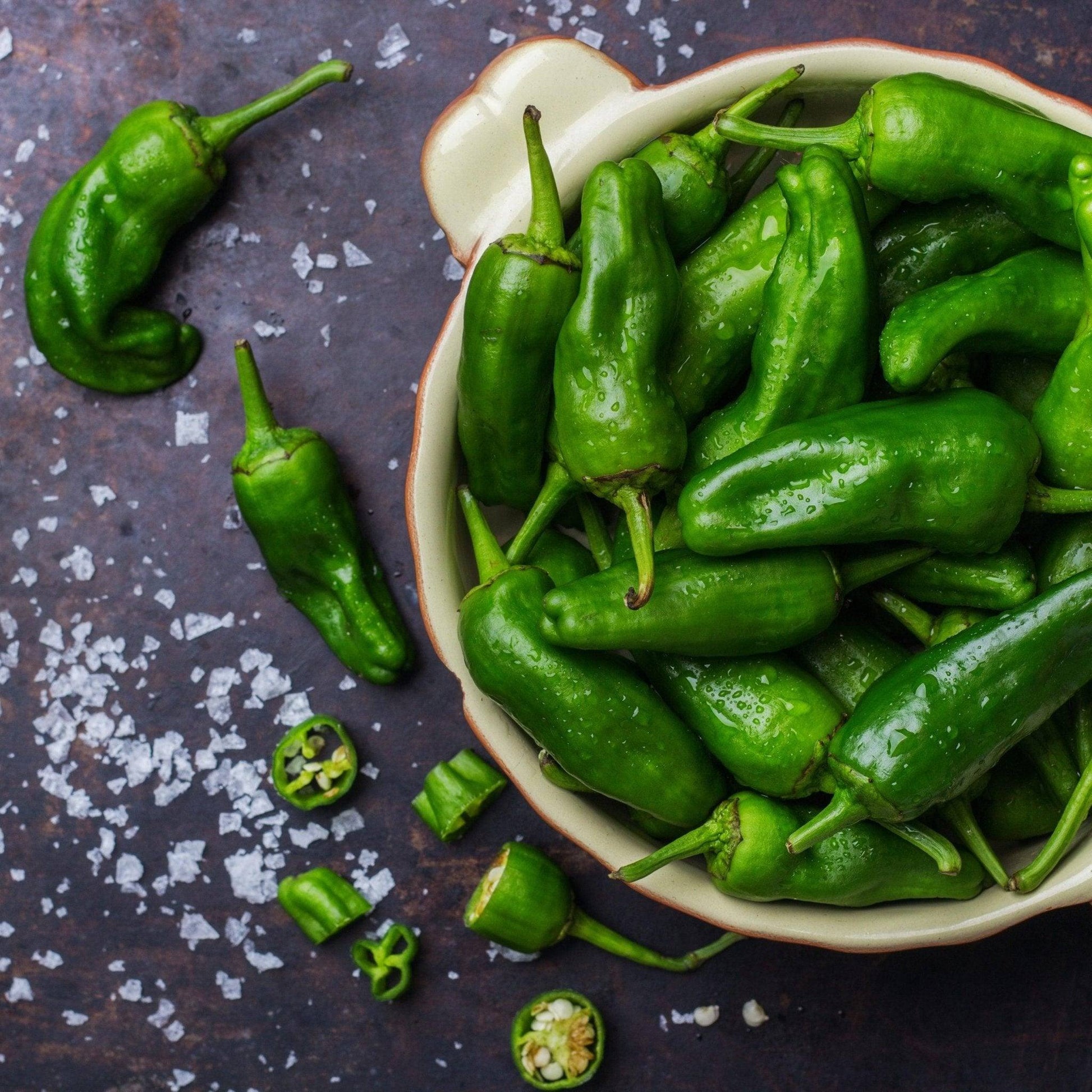 Fresh Padron Chilli Peppers | 1kg | Chilli Mash Company | The Russian Roulette Of Chilli Peppers - One Stop Chilli Shop