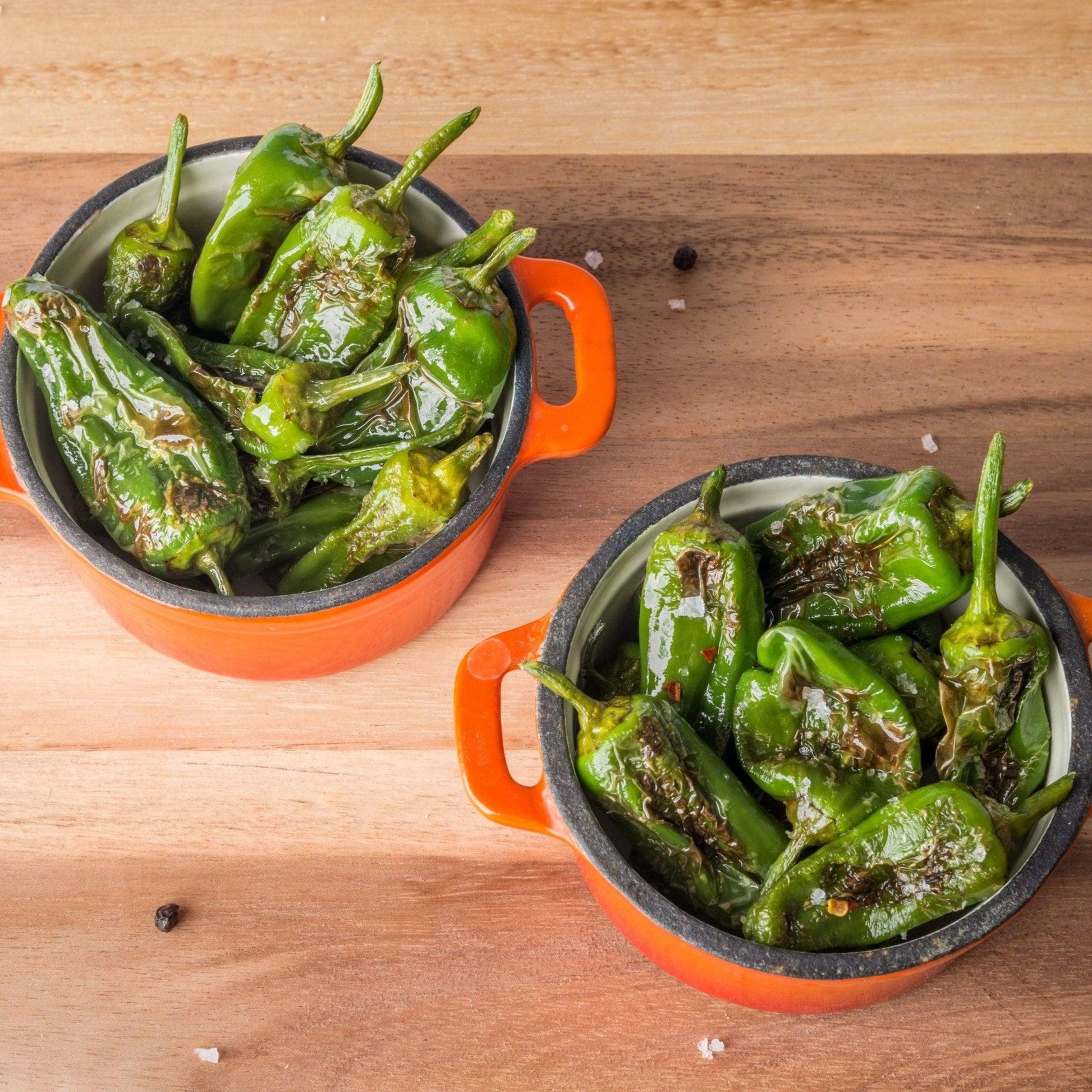 Fresh Padron Chilli Peppers | 1kg | Chilli Mash Company | The Russian Roulette Of Chilli Peppers - One Stop Chilli Shop