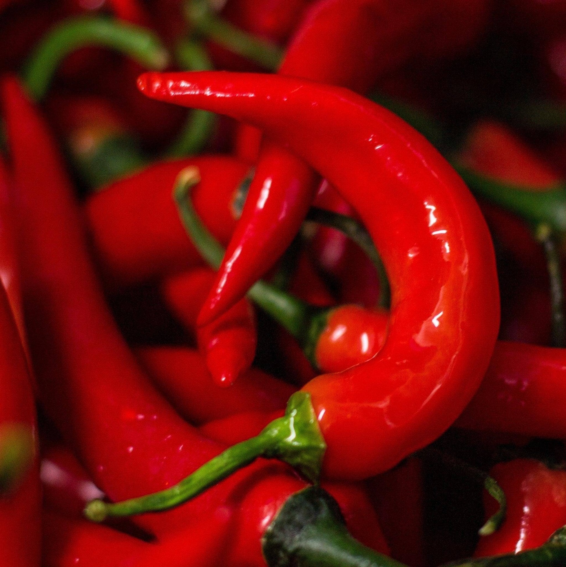 Fresh Red Fireflame Chilli | 250g 500g or 1kg | Chilli Mash Co. - One Stop Chilli Shop
