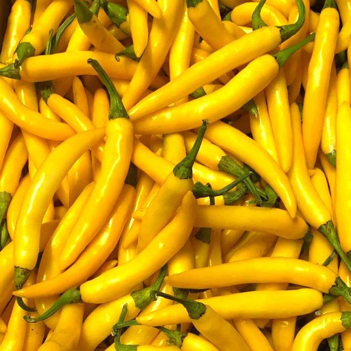 Fresh Yellow Fireflame Chilli | 1kg | Chilli Mash Company - One Stop Chilli Shop