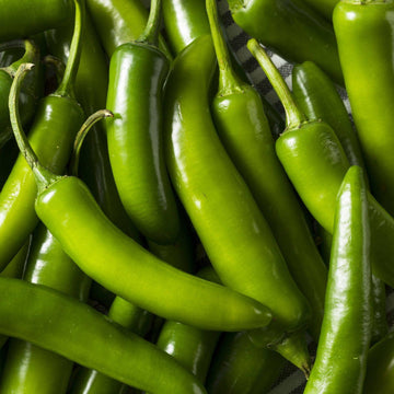 Green Cayenne Chilli | 1kg | Chilli Mash Company - One Stop Chilli Shop
